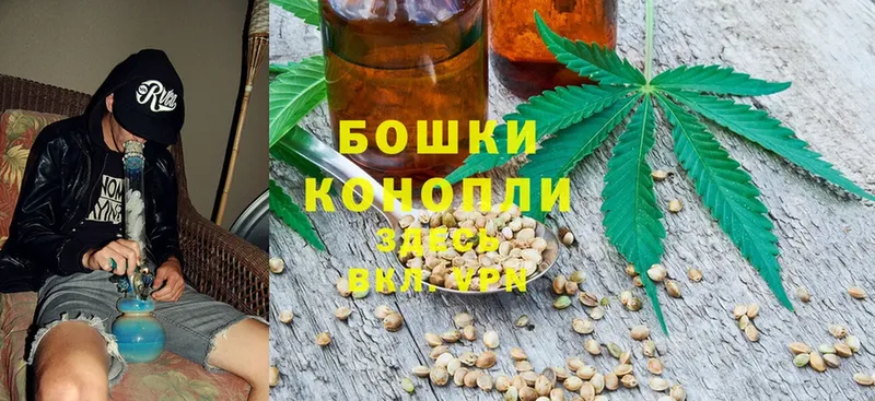 магазин  наркотиков  Бор  OMG сайт  Канабис White Widow 